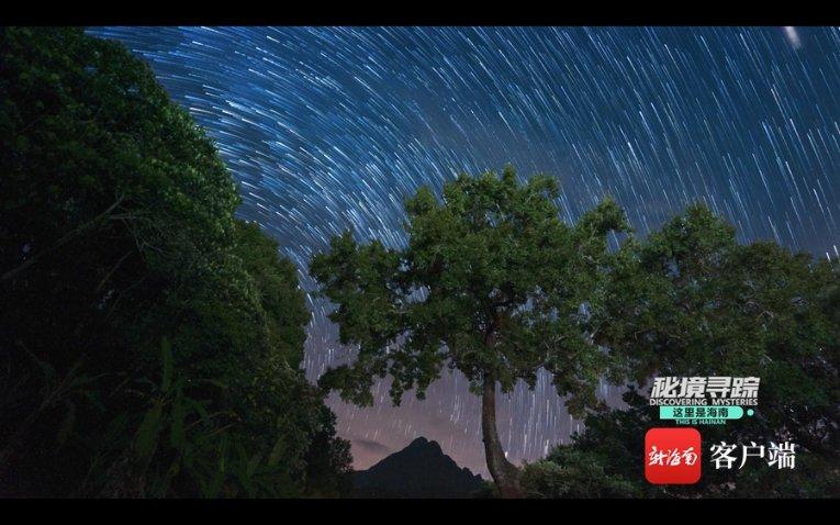 虫虫助手下载