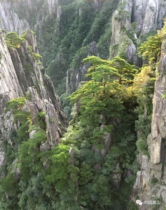 万词王
