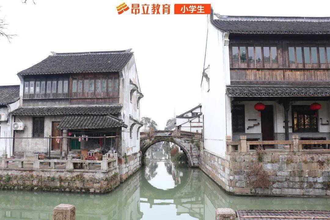 动物帮帮忙保卫家园